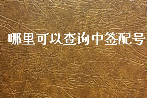 哪里可以查询中签配号_https://cj002.lansai.wang_理财问答_第1张