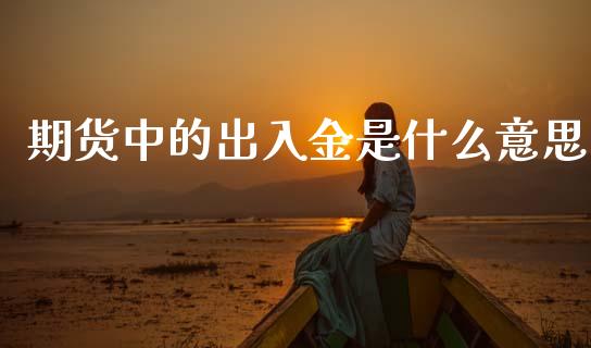 期货中的出入金是什么意思_https://cj002.lansai.wang_会计问答_第1张