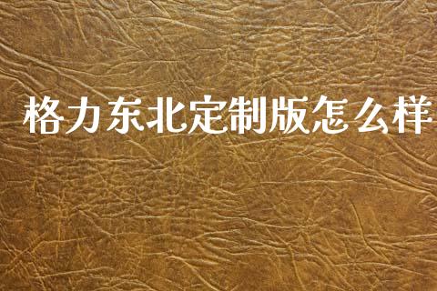 格力东北定制版怎么样_https://cj002.lansai.wang_股市问答_第1张