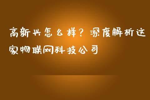 高新兴怎么样？深度解析这家物联网科技公司_https://cj002.lansai.wang_金融问答_第1张