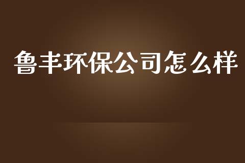 鲁丰环保公司怎么样_https://cj002.lansai.wang_财经百问_第1张