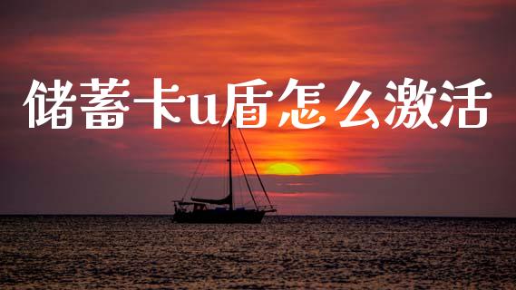 储蓄卡u盾怎么激活_https://cj002.lansai.wang_金融问答_第1张