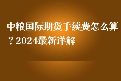 中粮国际期货手续费怎么算？2024最新详解_https://cj002.lansai.wang_会计问答_第1张