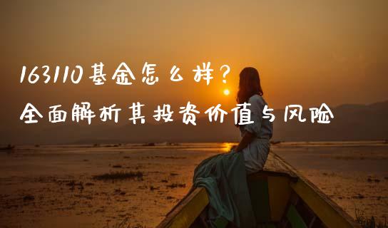 163110基金怎么样？全面解析其投资价值与风险_https://cj002.lansai.wang_财经百问_第1张