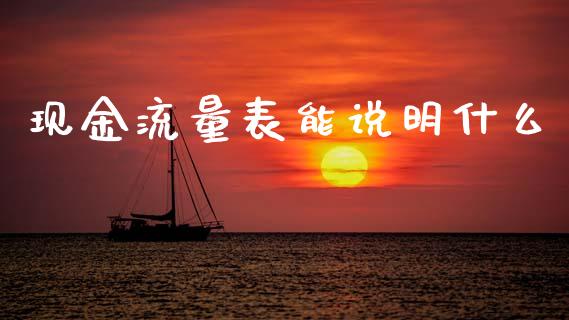现金流量表能说明什么_https://cj002.lansai.wang_会计问答_第1张