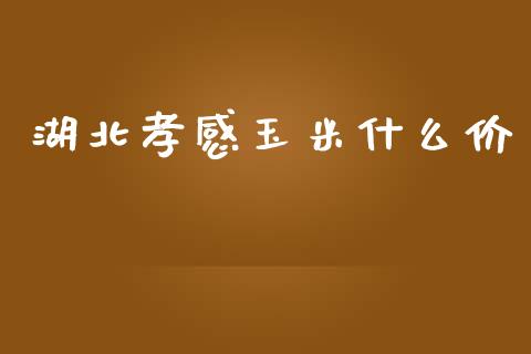 湖北孝感玉米什么价_https://cj002.lansai.wang_会计问答_第1张