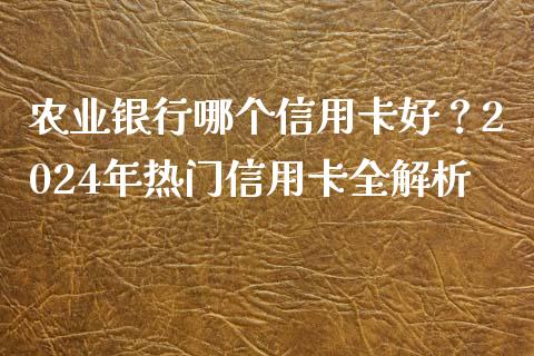 农业银行哪个信用卡好？2024年热门信用卡全解析_https://cj002.lansai.wang_保险问答_第1张