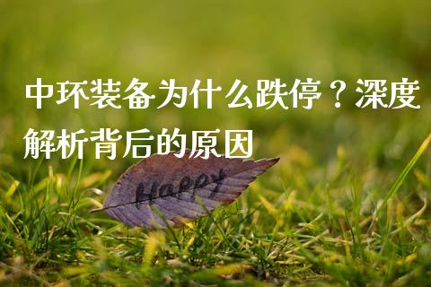 中环装备为什么跌停？深度解析背后的原因_https://cj002.lansai.wang_保险问答_第1张