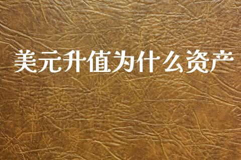 美元升值为什么资产_https://cj002.lansai.wang_财经问答_第1张