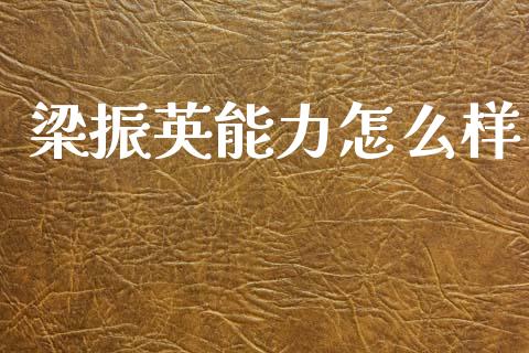梁振英能力怎么样_https://cj002.lansai.wang_理财问答_第1张