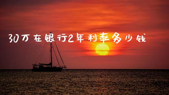 30万在银行2年利率多少钱_https://cj002.lansai.wang_理财问答_第1张