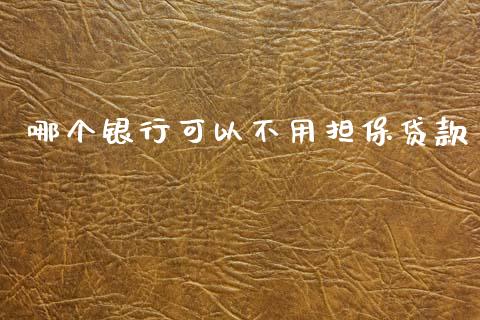 哪个银行可以不用担保贷款_https://cj002.lansai.wang_理财问答_第1张