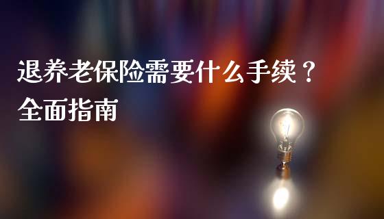 退养老保险需要什么手续？全面指南_https://cj002.lansai.wang_会计问答_第1张