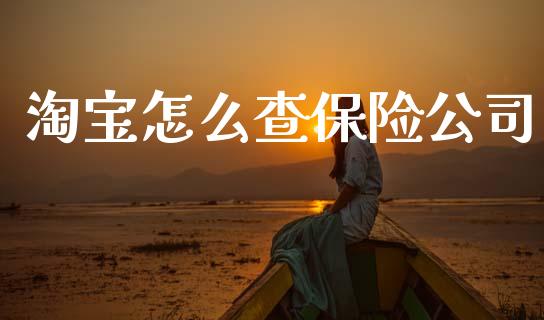 淘宝怎么查保险公司_https://cj002.lansai.wang_保险问答_第1张