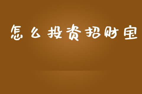 怎么投资招财宝_https://cj002.lansai.wang_保险问答_第1张