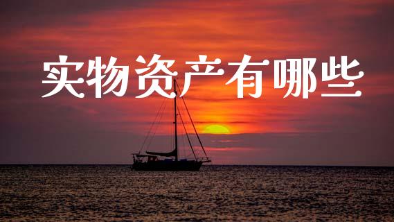 实物资产有哪些_https://cj002.lansai.wang_理财问答_第1张