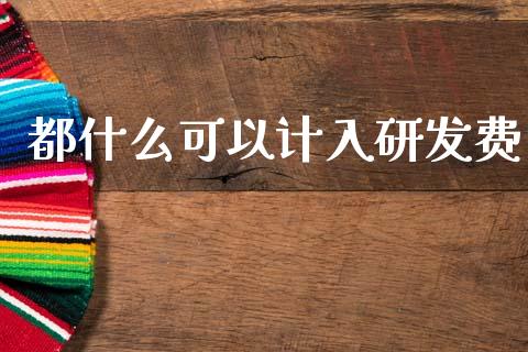都什么可以计入研发费_https://cj002.lansai.wang_会计问答_第1张