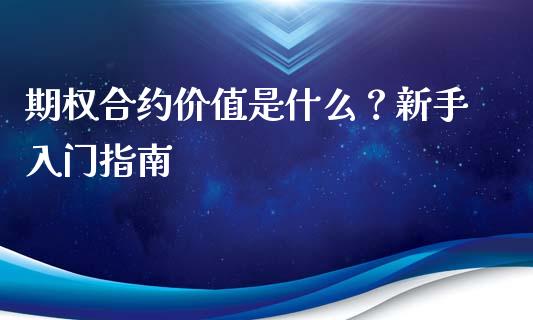 期权合约价值是什么？新手入门指南_https://cj002.lansai.wang_期货问答_第1张