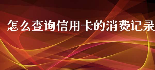 怎么查询信用卡的消费记录_https://cj002.lansai.wang_金融问答_第1张