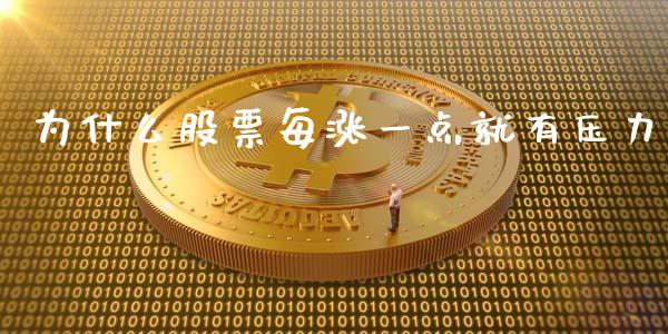 为什么股票每涨一点就有压力_https://cj002.lansai.wang_财经问答_第1张
