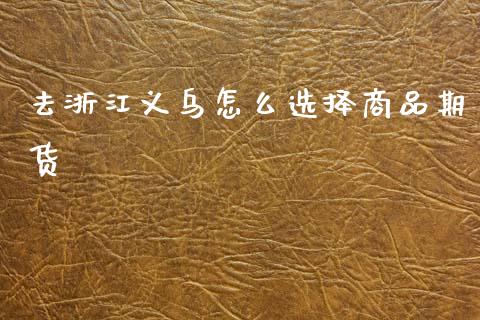 去浙江义乌怎么选择商品期货_https://cj002.lansai.wang_期货问答_第1张