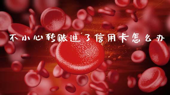 不小心转账进了信用卡怎么办_https://cj002.lansai.wang_会计问答_第1张