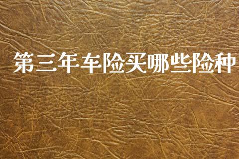 第三年车险买哪些险种_https://cj002.lansai.wang_理财问答_第1张