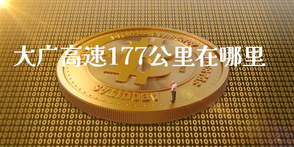 大广高速177公里在哪里_https://cj002.lansai.wang_股市问答_第1张