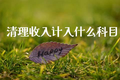 清理收入计入什么科目_https://cj002.lansai.wang_会计问答_第1张