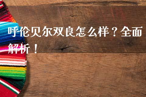 呼伦贝尔双良怎么样？全面解析！_https://cj002.lansai.wang_保险问答_第1张