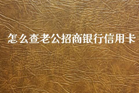 怎么查老公招商银行信用卡_https://cj002.lansai.wang_金融问答_第1张
