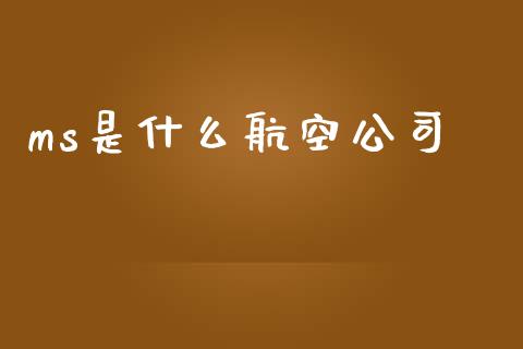 ms是什么航空公司_https://cj002.lansai.wang_金融问答_第1张
