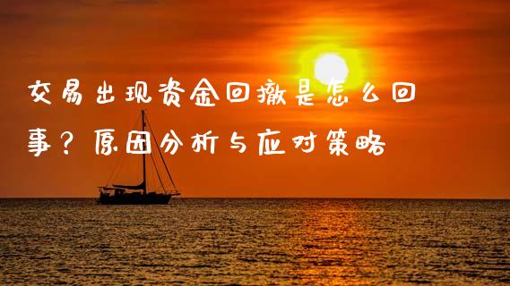 交易出现资金回撤是怎么回事？原因分析与应对策略_https://cj002.lansai.wang_金融问答_第1张