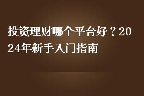 投资理财哪个平台好？2024年新手入门指南_https://cj002.lansai.wang_金融问答_第1张