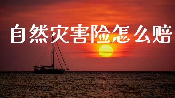 自然灾害险怎么赔_https://cj002.lansai.wang_保险问答_第1张