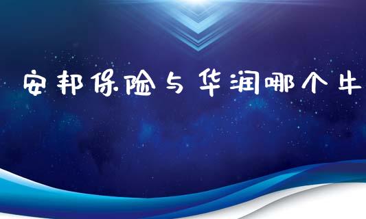 安邦保险与华润哪个牛_https://cj002.lansai.wang_财经百问_第1张