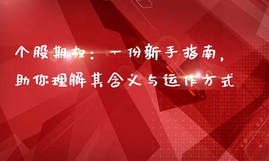 个股期权：一份新手指南，助你理解其含义与运作方式_https://cj002.lansai.wang_财经问答_第1张