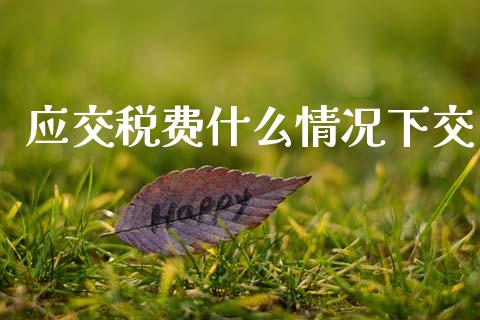 应交税费什么情况下交_https://cj002.lansai.wang_会计问答_第1张