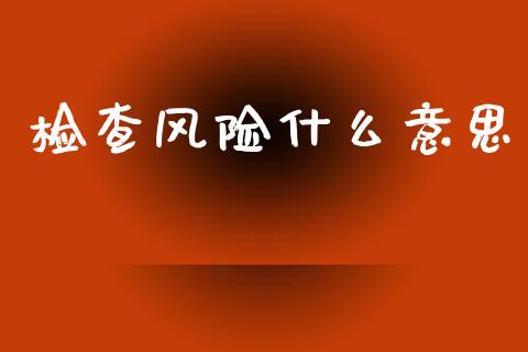 检查风险什么意思_https://cj002.lansai.wang_会计问答_第1张