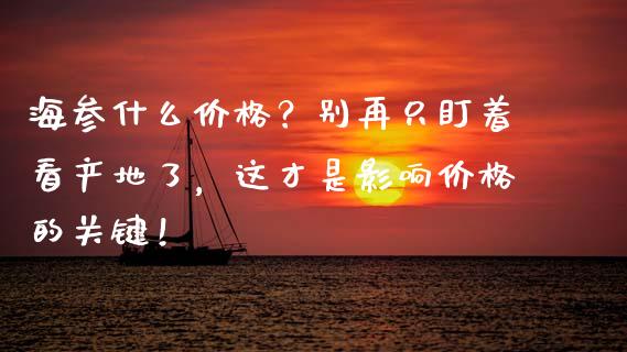 海参什么价格？别再只盯着看产地了，这才是影响价格的关键！_https://cj002.lansai.wang_会计问答_第1张