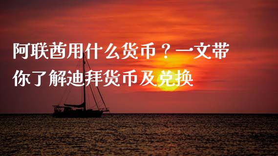 阿联酋用什么货币？一文带你了解迪拜货币及兑换_https://cj002.lansai.wang_期货问答_第1张