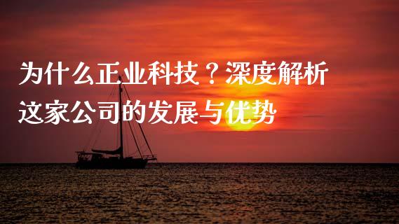 为什么正业科技？深度解析这家公司的发展与优势_https://cj002.lansai.wang_财经百问_第1张