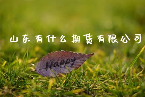 山东有什么期货有限公司_https://cj002.lansai.wang_金融问答_第1张
