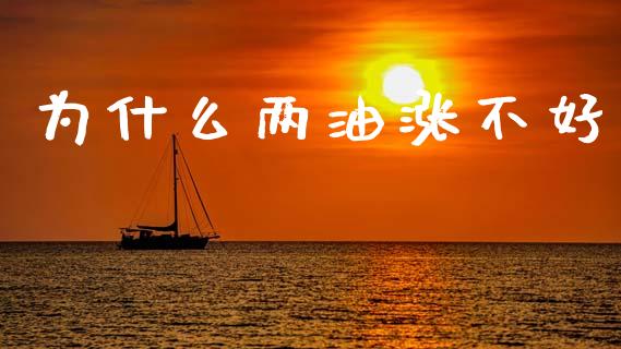 为什么两油涨不好_https://cj002.lansai.wang_期货问答_第1张