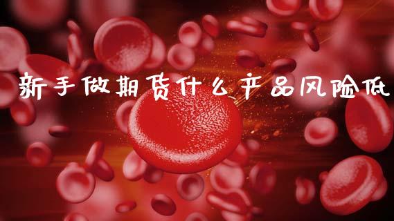 新手做期货什么产品风险低_https://cj002.lansai.wang_财经百问_第1张