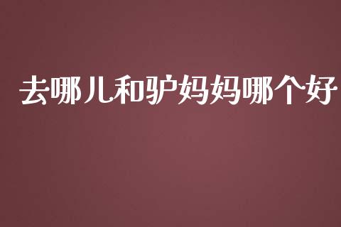 去哪儿和驴妈妈哪个好_https://cj002.lansai.wang_财经百问_第1张