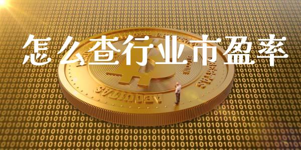 怎么查行业市盈率_https://cj002.lansai.wang_保险问答_第1张