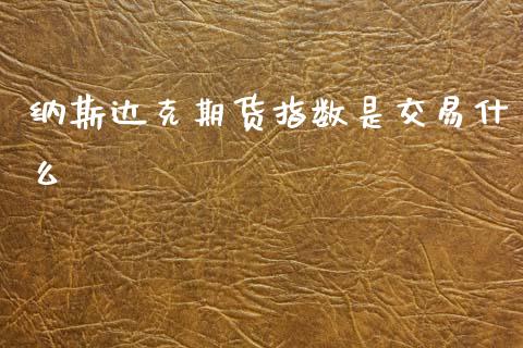 纳斯达克期货指数是交易什么_https://cj002.lansai.wang_金融问答_第1张