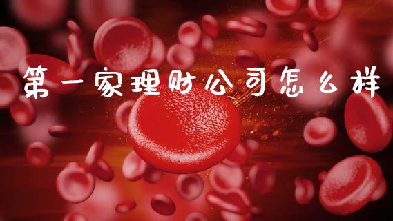 第一家理财公司怎么样_https://cj002.lansai.wang_股市问答_第1张