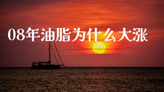 08年油脂为什么大涨_https://cj002.lansai.wang_理财问答_第1张